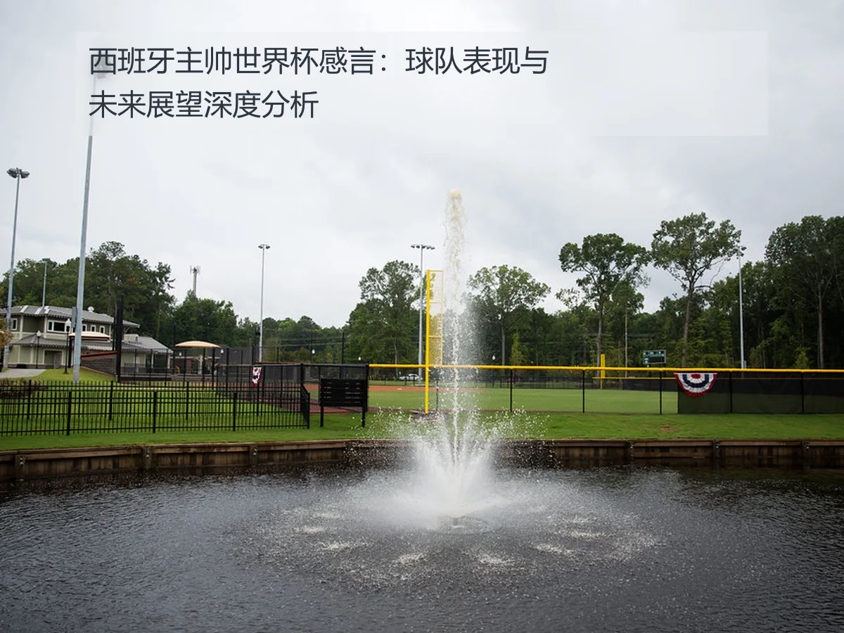 西班牙主帅世界杯感言：球队表现与未来展望深度分析
