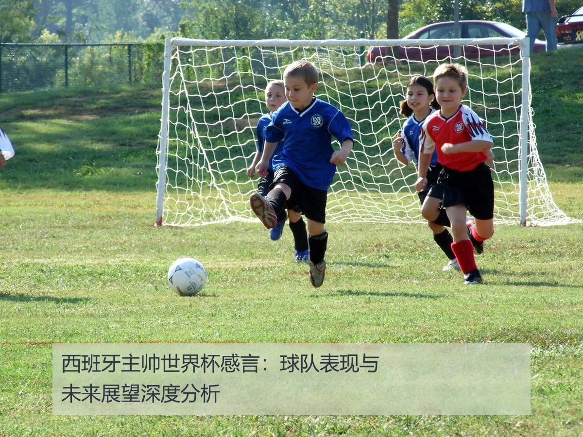 西班牙主帅世界杯感言:球队表现与未来展望深度分析