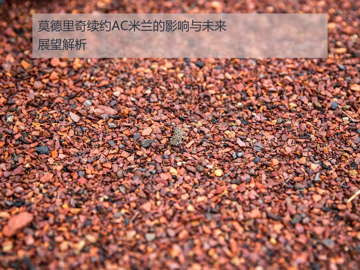 莫德里奇续约AC米兰的影响与未来展望解析